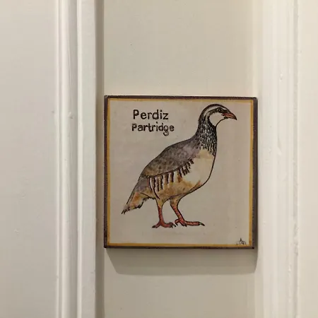 Gæstehus Carnot House Setúbal