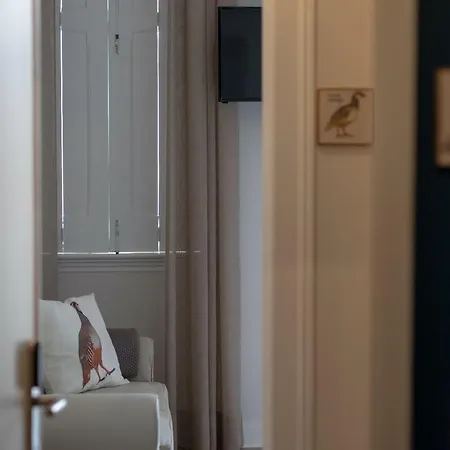 Pensionat Carnot House 3*