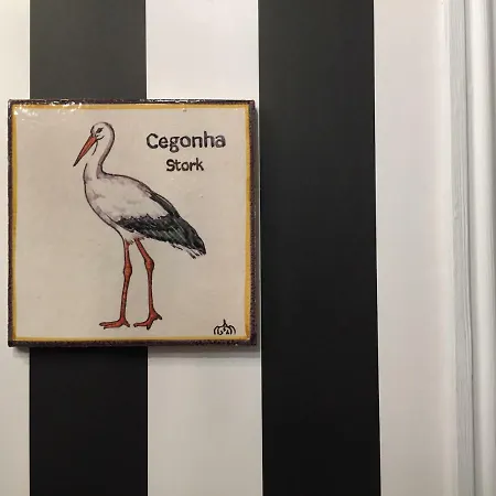 Carnot House Guest house