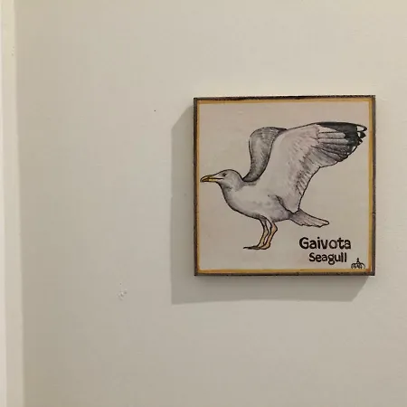 Carnot House Pensionat Setúbal